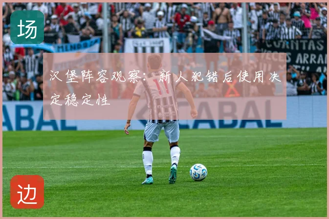 汉堡阵容观察:新人犯错后使用决定稳定性